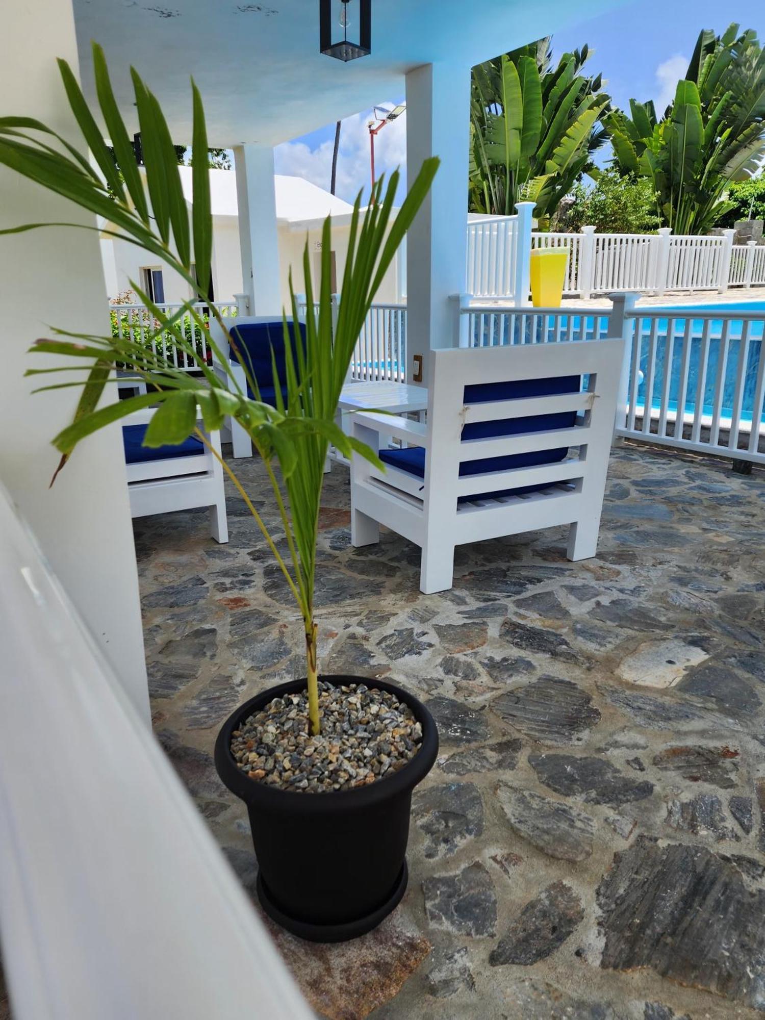 Bella Villa Room With Large Pool And Close To Beach Las Galeras Exterior foto